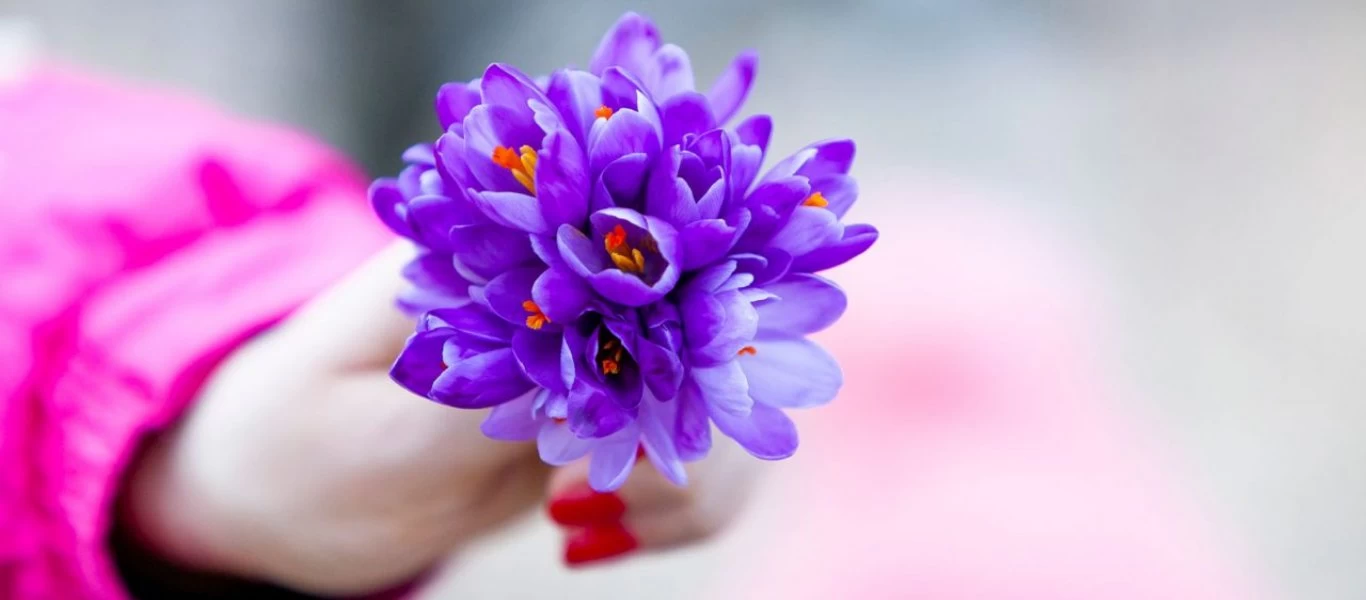 «Θαυματουργό»: Το αντικαρκινικό φυτό που φυτρώνει στην Ελλάδα και είναι και αφροδισιακό